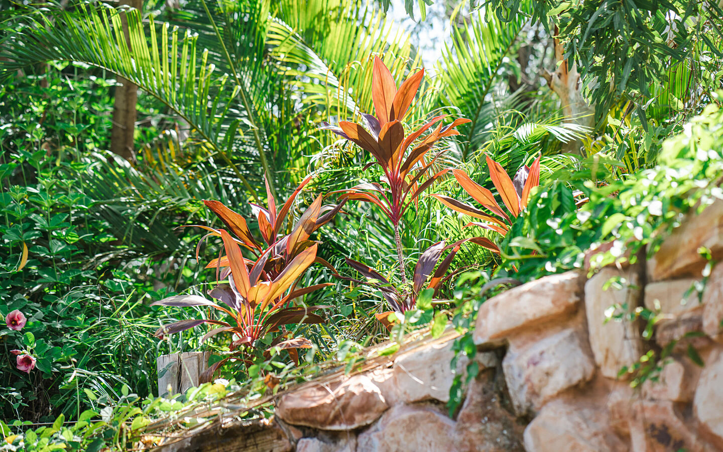 Buddha sanctuary gallery 09